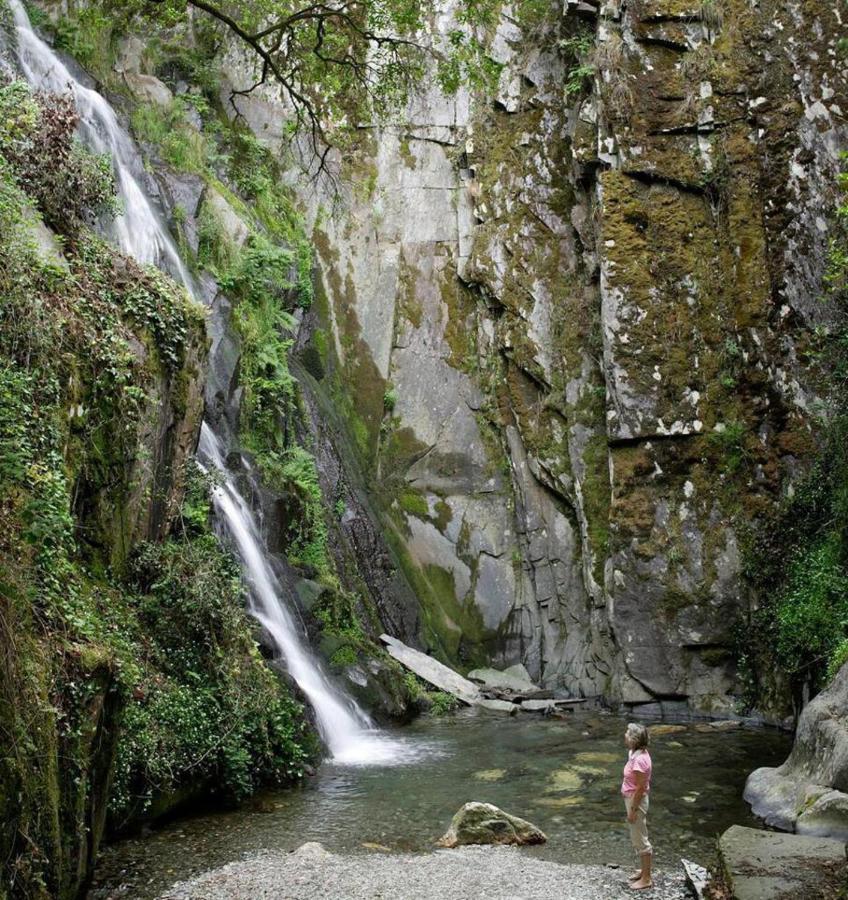 A Pequena Casa Coja Central Portugal Mountains Exteriör bild